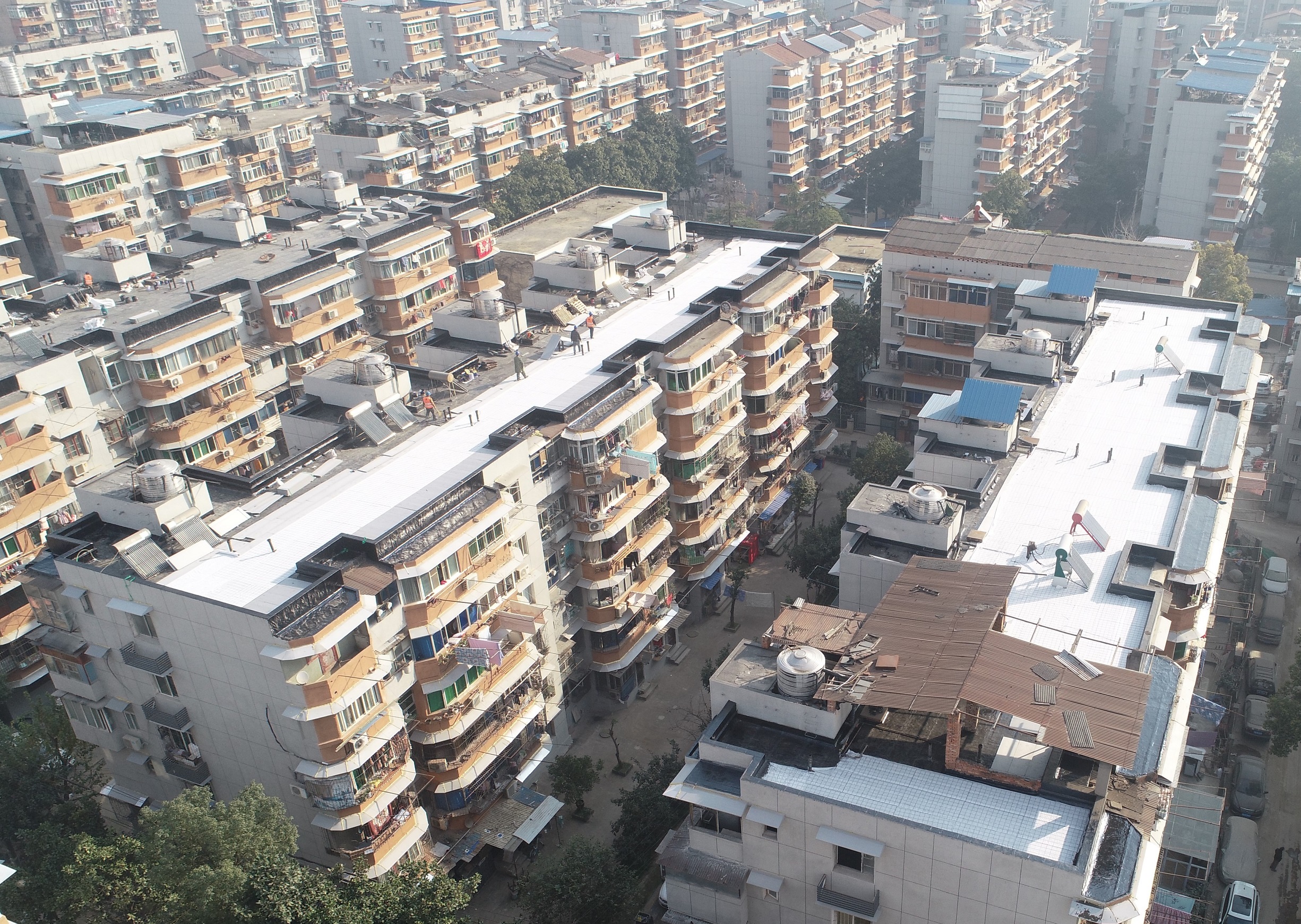 香港宝典全年资料