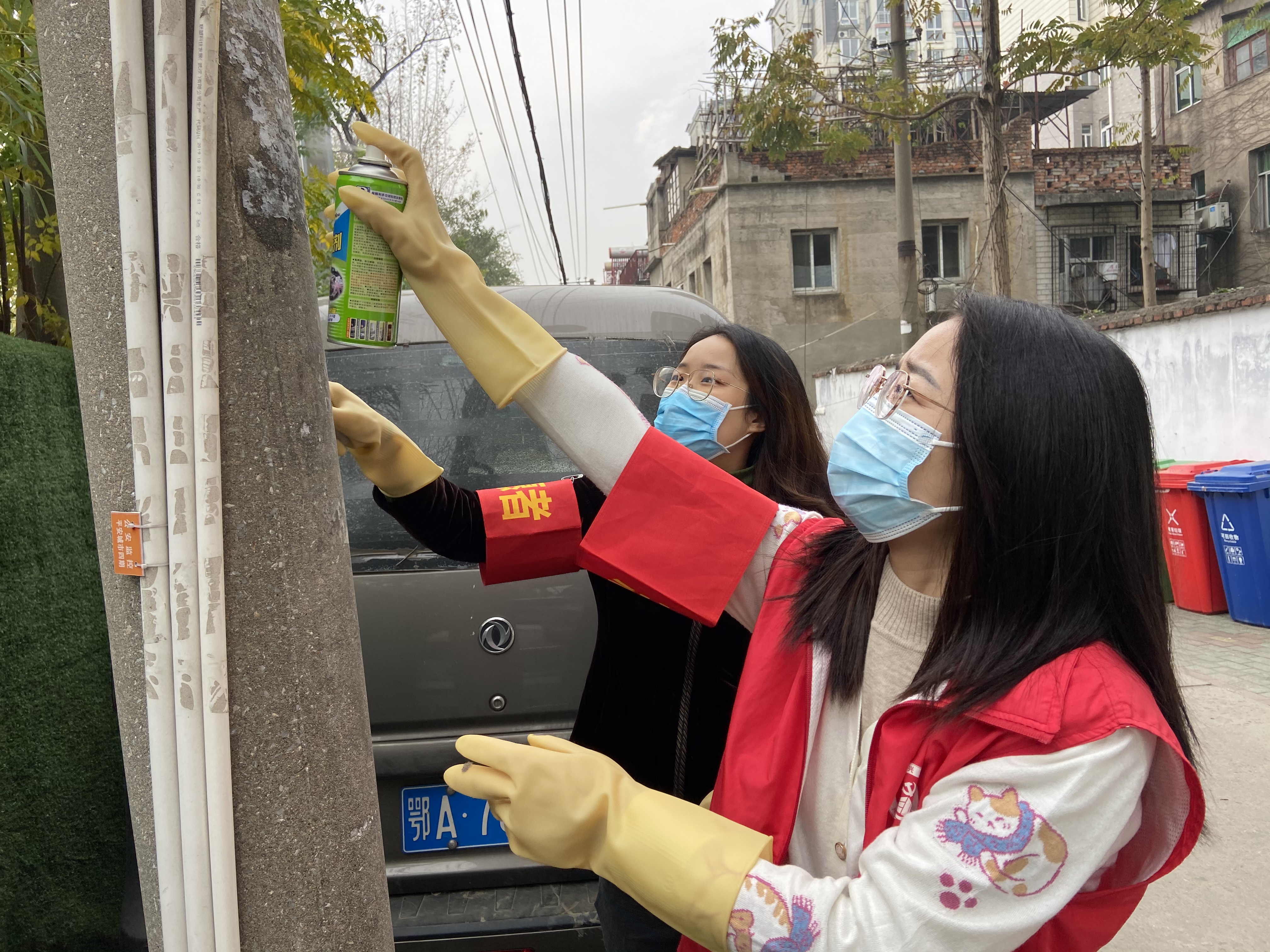 香港宝典全年资料