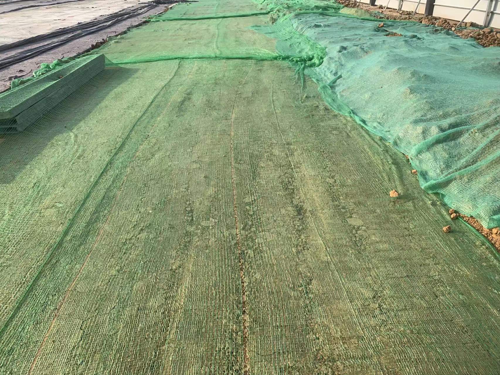 香港宝典全年资料