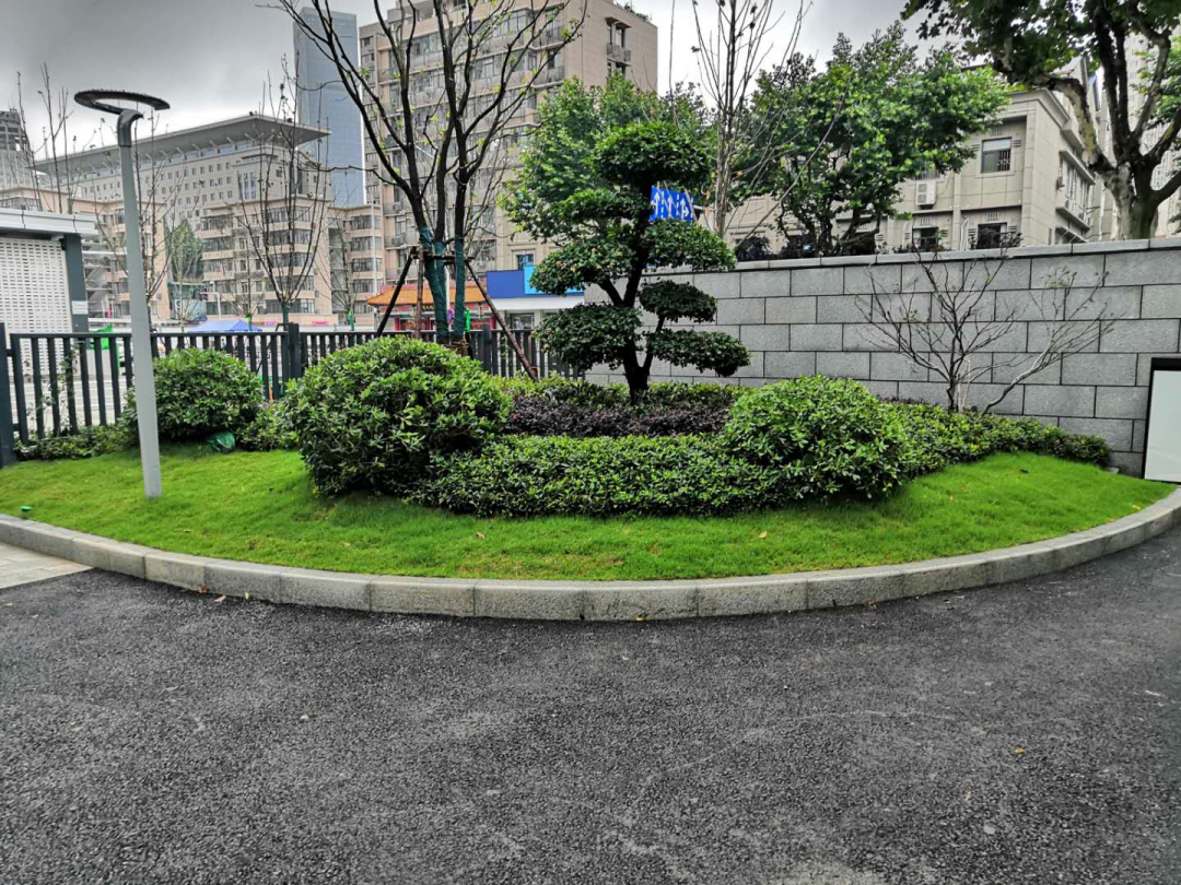 香港宝典全年资料